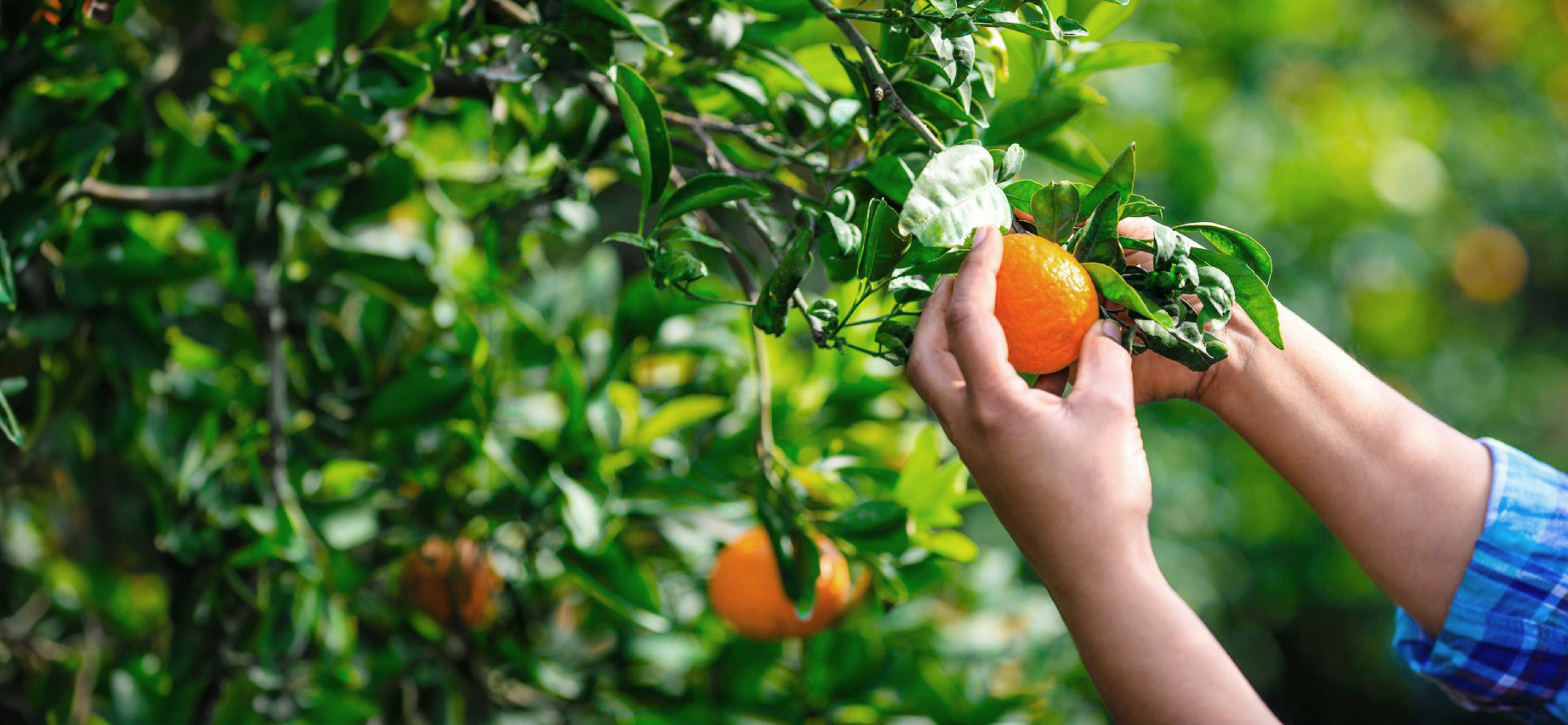 金年会发布 2023 年第四季度及全年财务业绩